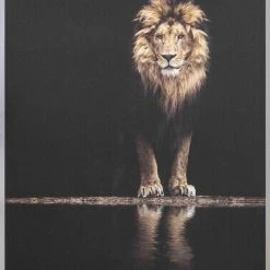 Spiegel Profi Lion Canvas Art Framed Taira Lion Picture