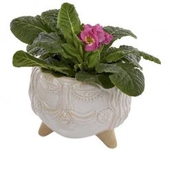 Richard Lang His Face Boho Plant Pot